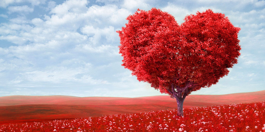 romantika-glazami-pragmatika_381