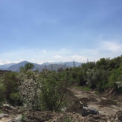 11053694_642384582527827_4487026691701599412_o