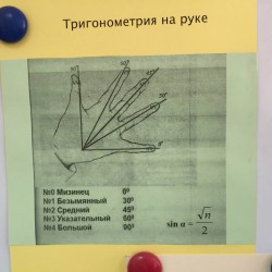 11174460_642384395861179_405448663300374898_o