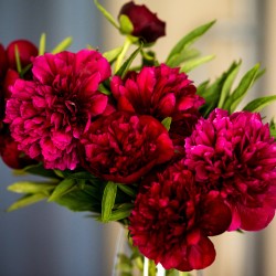 +375333777597-9596-min