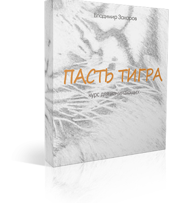 «Пасть Тигра: форма и формулы»