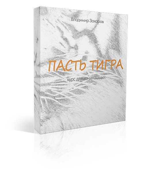 &laquo;Пасть Тигра: форма и формулы&raquo;