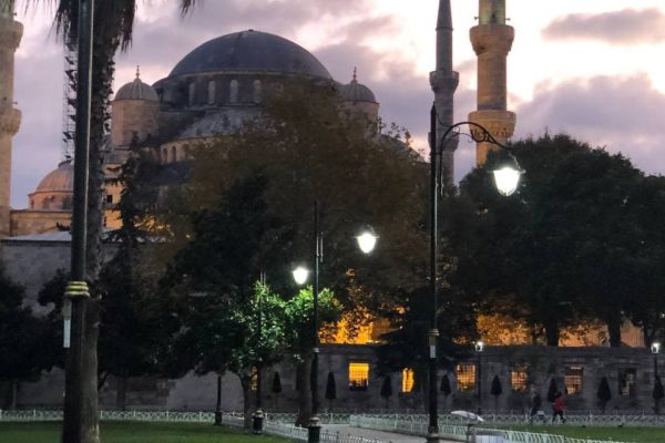 photo_2021-05-19_12-41-48