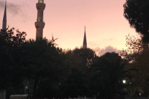 photo_2021-05-19_12-41-49