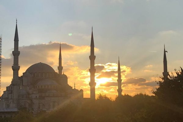 photo_2021-05-19_12-41-50