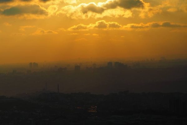 photo_2021-05-19_12-42-10