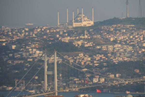 photo_2021-05-19_12-42-12