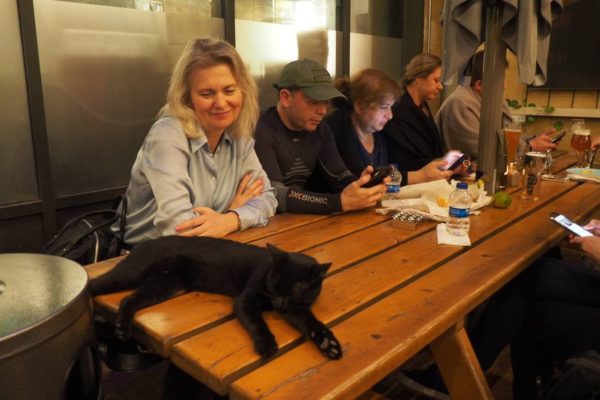 photo_2021-05-19_12-42-58