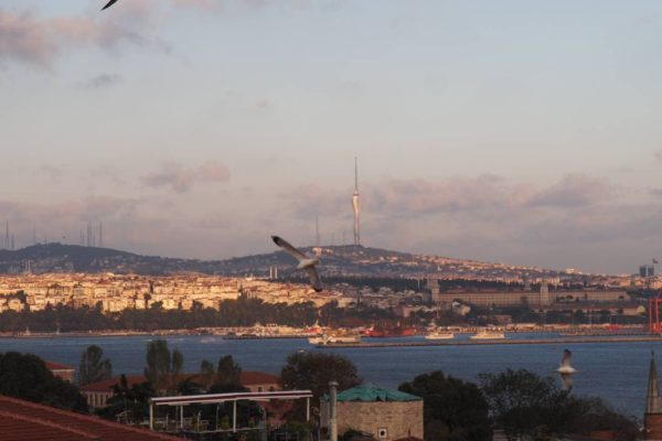 photo_2021-05-19_12-43-25