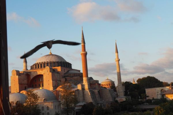 photo_2021-05-19_12-43-27