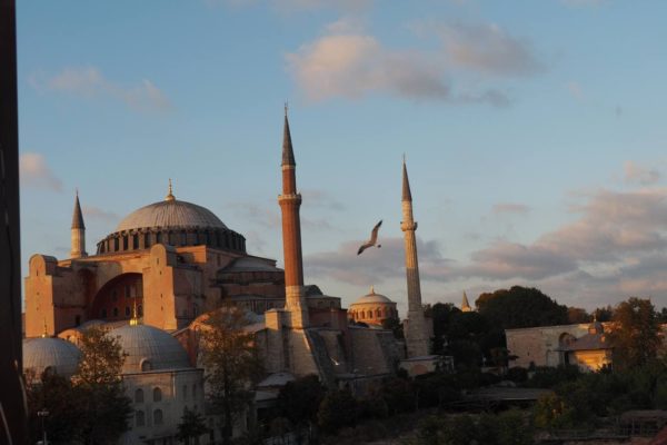 photo_2021-05-19_12-43-28