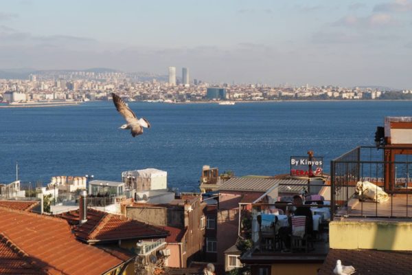 photo_2021-05-19_12-43-30