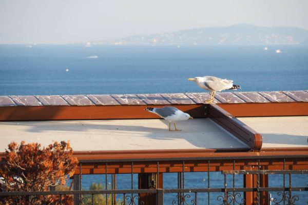 photo_2021-05-19_12-43-32