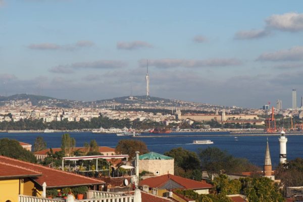 photo_2021-05-19_12-43-33