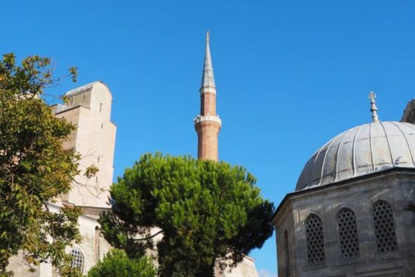 photo_2021-05-19_12-43-39