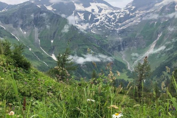 02497D1E-83FC-4B39-B0D0-53097A3E7B22