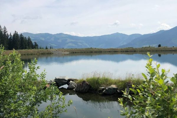 097430D1-19E1-44E1-B342-31A3405E40D8