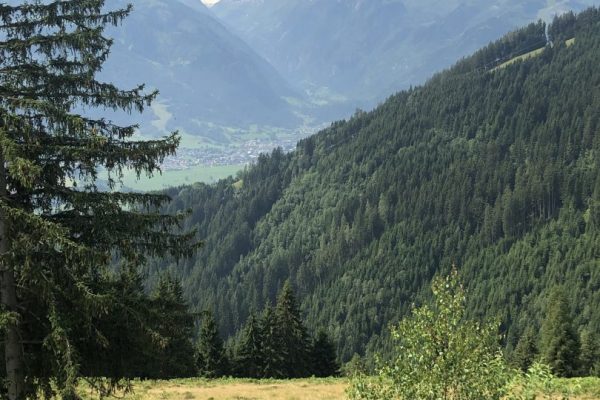 0E2D40E8-11D4-40B6-AC98-58C7B812989E