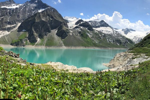 3C0E08F9-6885-47C8-89B9-FB7F2E68B921