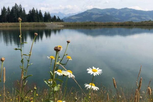 50608F8C-5E34-4549-877A-0D6172851DCB