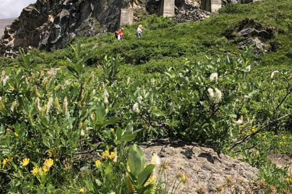 5F86E12C-CBB4-4653-BA0E-9D6494A50392