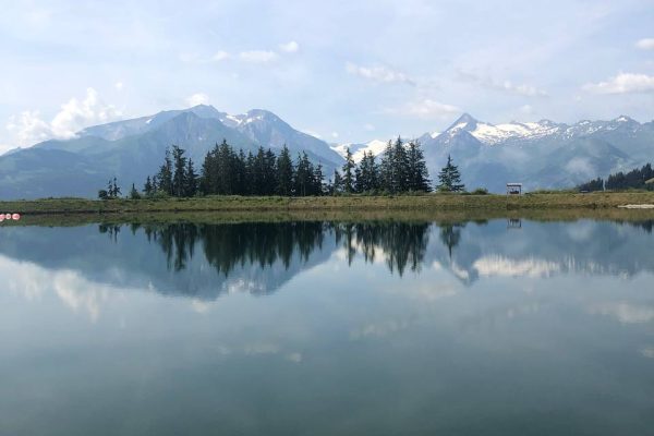 AADEA87C-6B34-47DB-AE81-1E5AEF53A04F