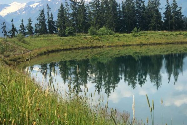 D8230996-11CC-40C2-88AD-ED7547B2971A