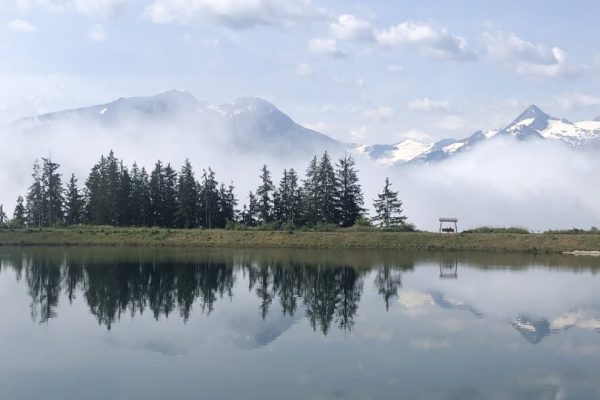 F5103A36-89CD-4BC9-9AB5-B1075F6A9A45